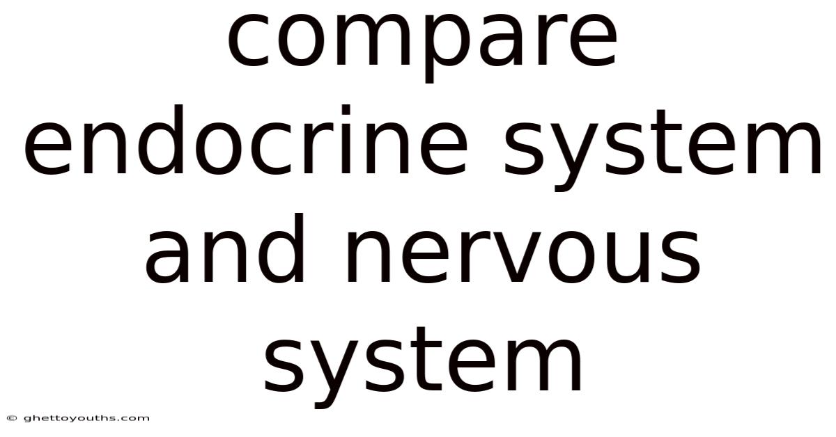 Compare Endocrine System And Nervous System