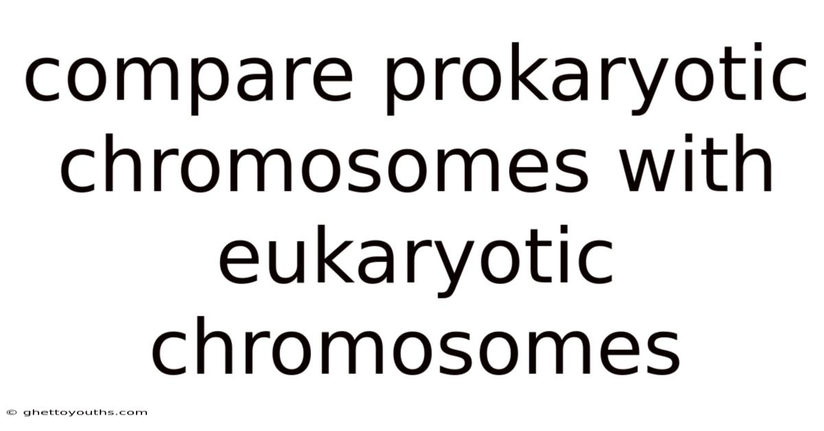 Compare Prokaryotic Chromosomes With Eukaryotic Chromosomes