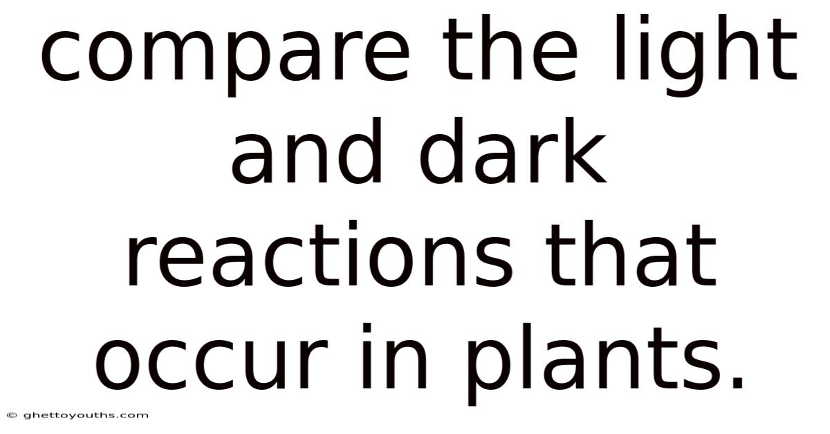 Compare The Light And Dark Reactions That Occur In Plants.