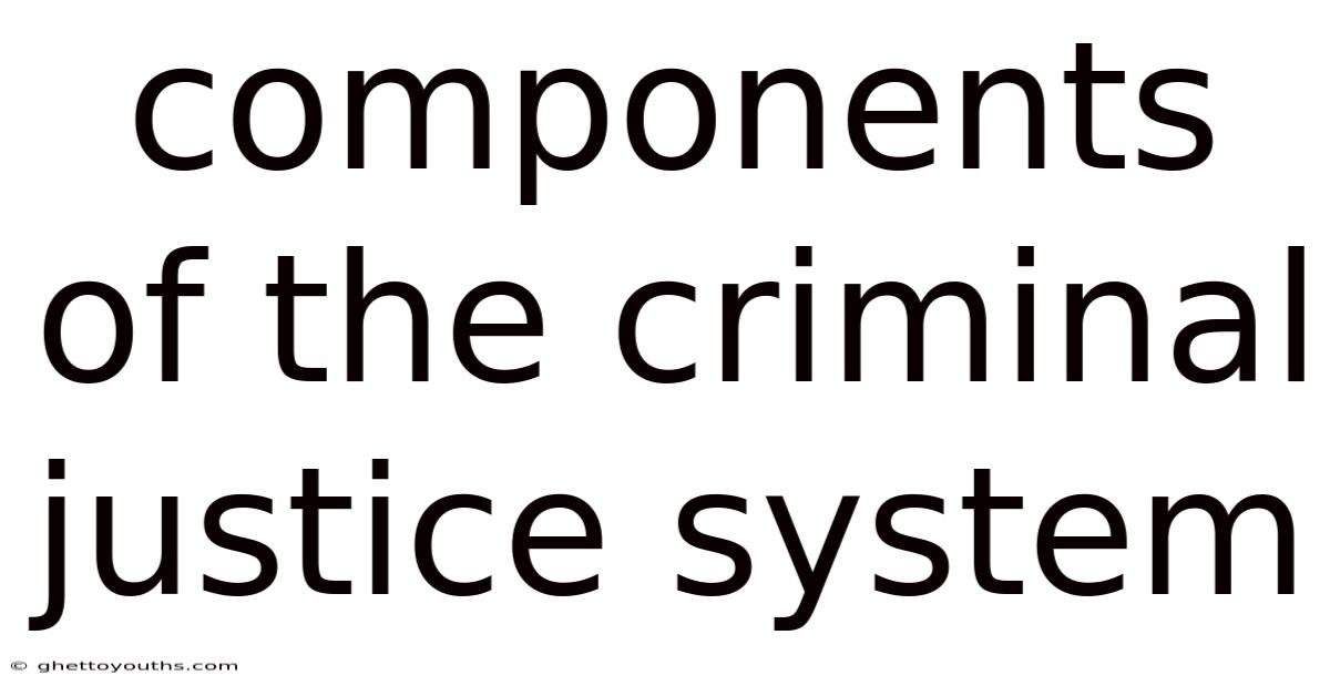 Components Of The Criminal Justice System