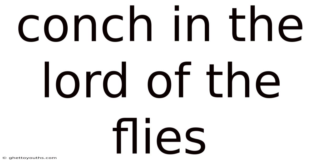 Conch In The Lord Of The Flies