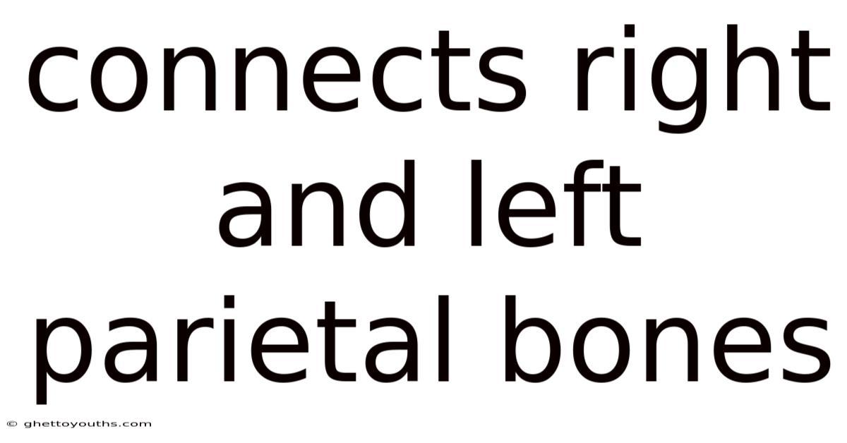 Connects Right And Left Parietal Bones