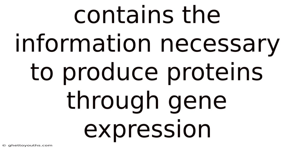 Contains The Information Necessary To Produce Proteins Through Gene Expression