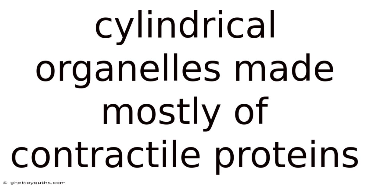 Cylindrical Organelles Made Mostly Of Contractile Proteins