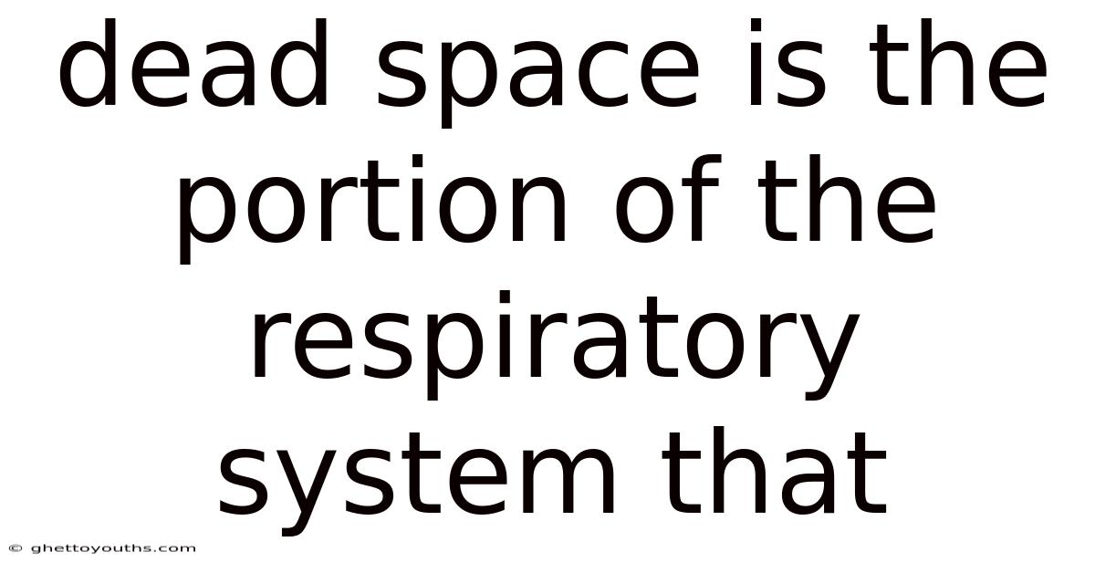 Dead Space Is The Portion Of The Respiratory System That