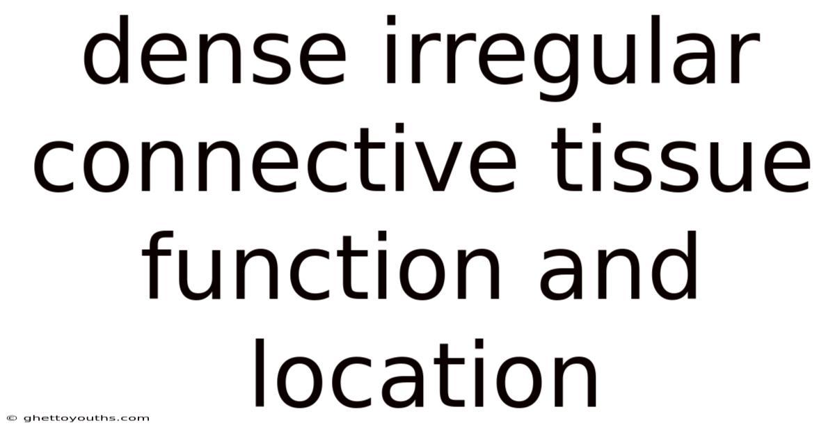 Dense Irregular Connective Tissue Function And Location