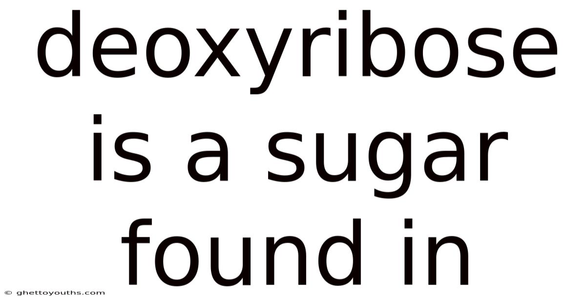 Deoxyribose Is A Sugar Found In