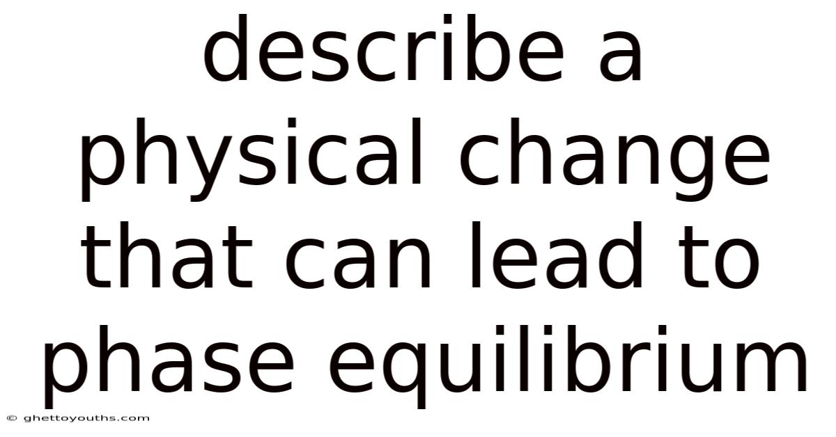 Describe A Physical Change That Can Lead To Phase Equilibrium