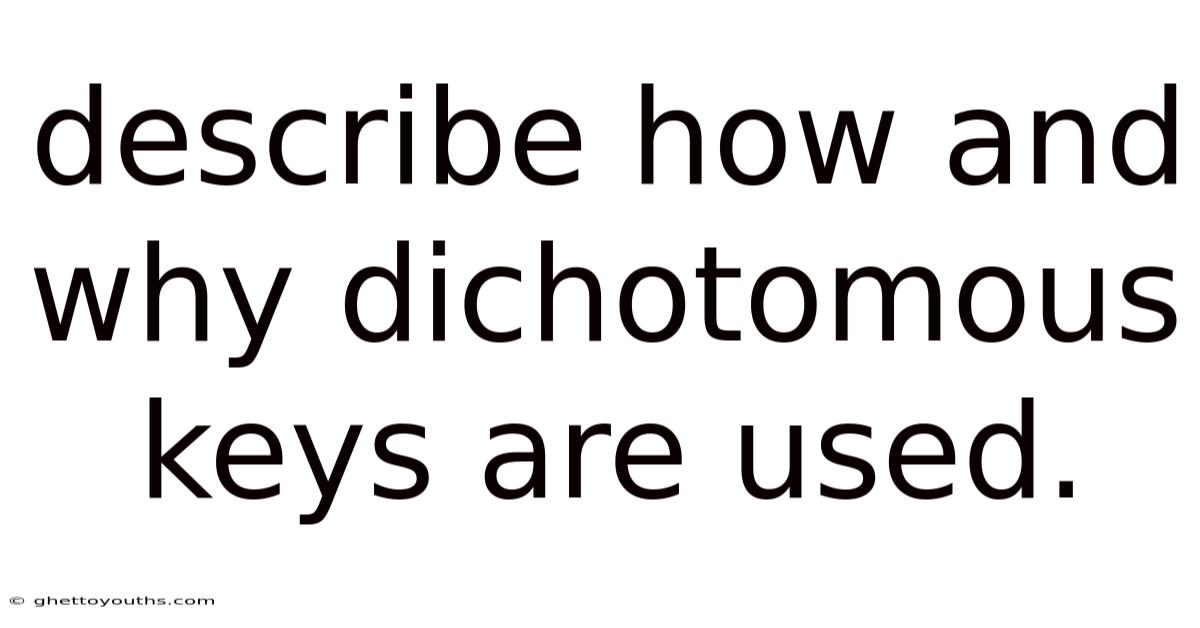 Describe How And Why Dichotomous Keys Are Used.