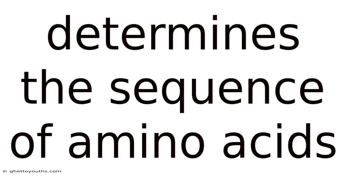 Determines The Sequence Of Amino Acids