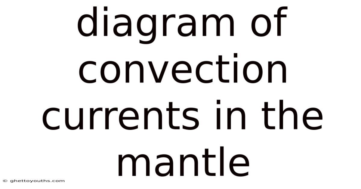 Diagram Of Convection Currents In The Mantle