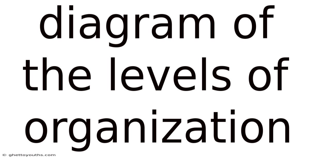 Diagram Of The Levels Of Organization