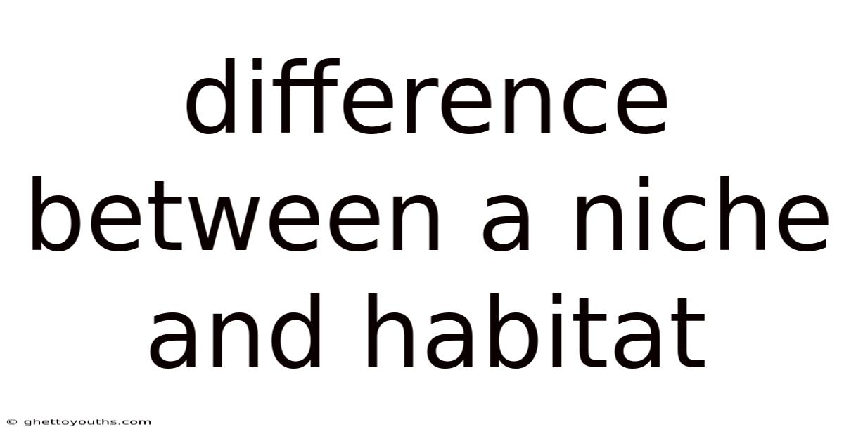 Difference Between A Niche And Habitat