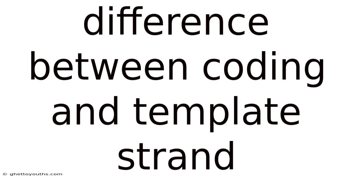 Difference Between Coding And Template Strand