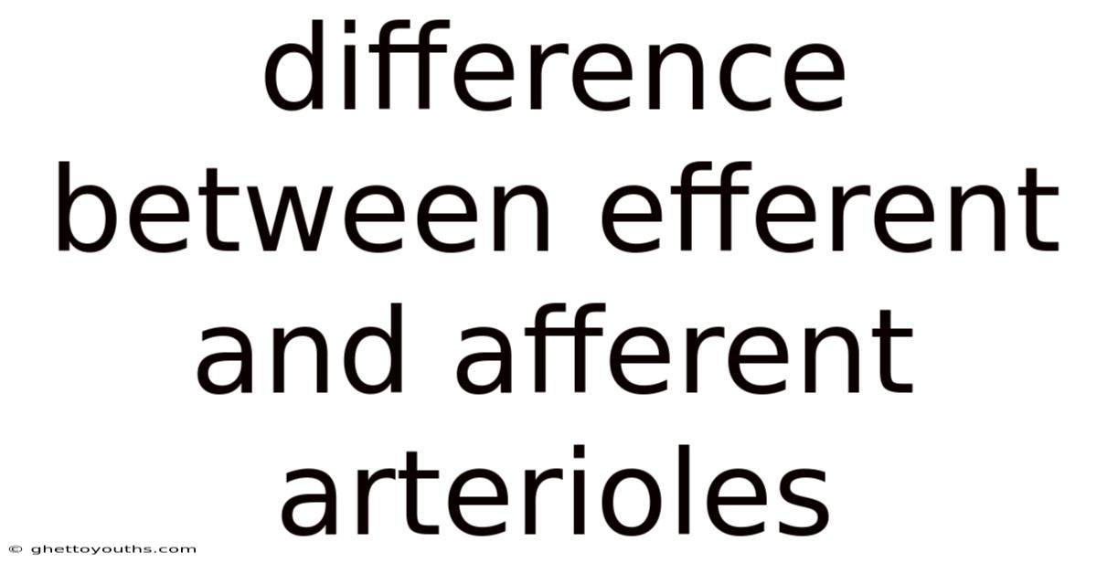 Difference Between Efferent And Afferent Arterioles