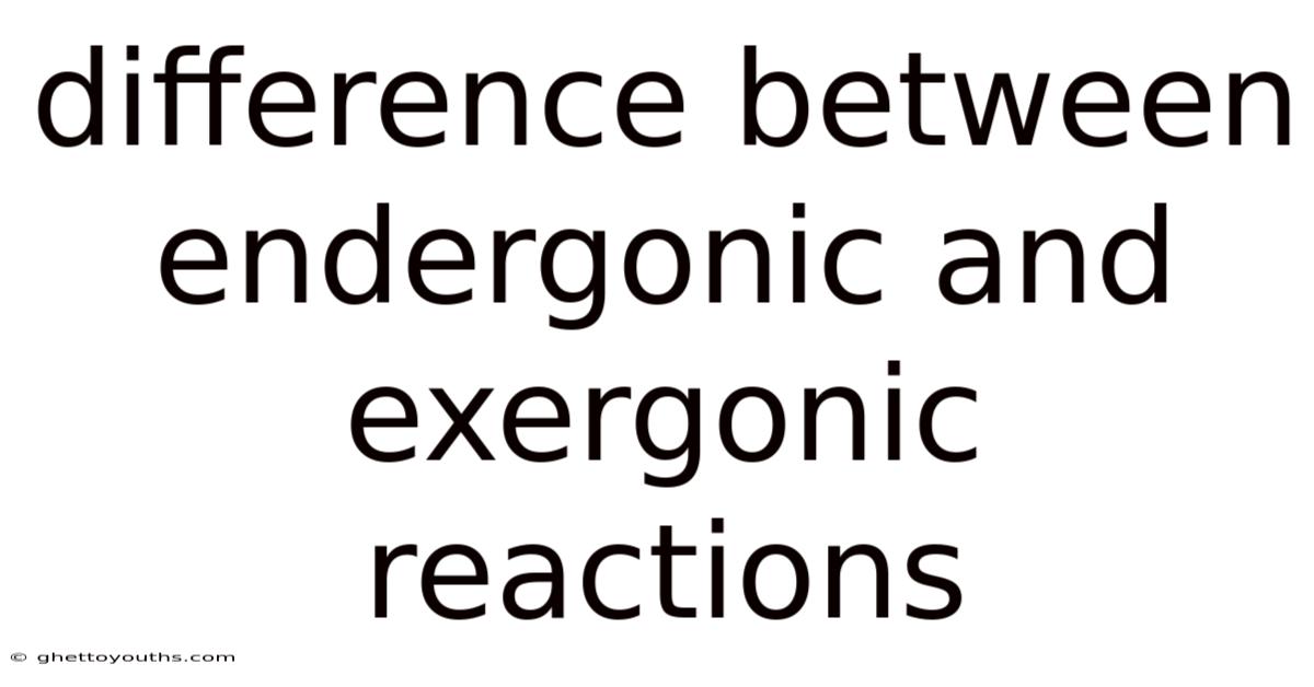 Difference Between Endergonic And Exergonic Reactions