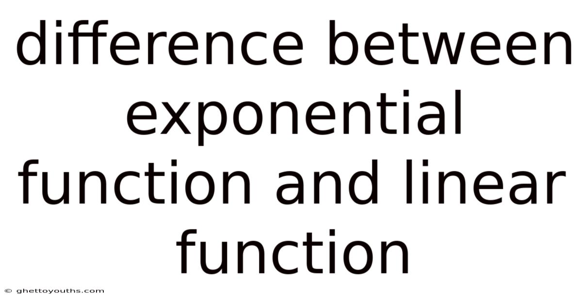 Difference Between Exponential Function And Linear Function