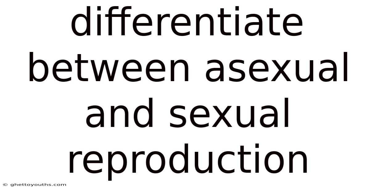 Differentiate Between Asexual And Sexual Reproduction
