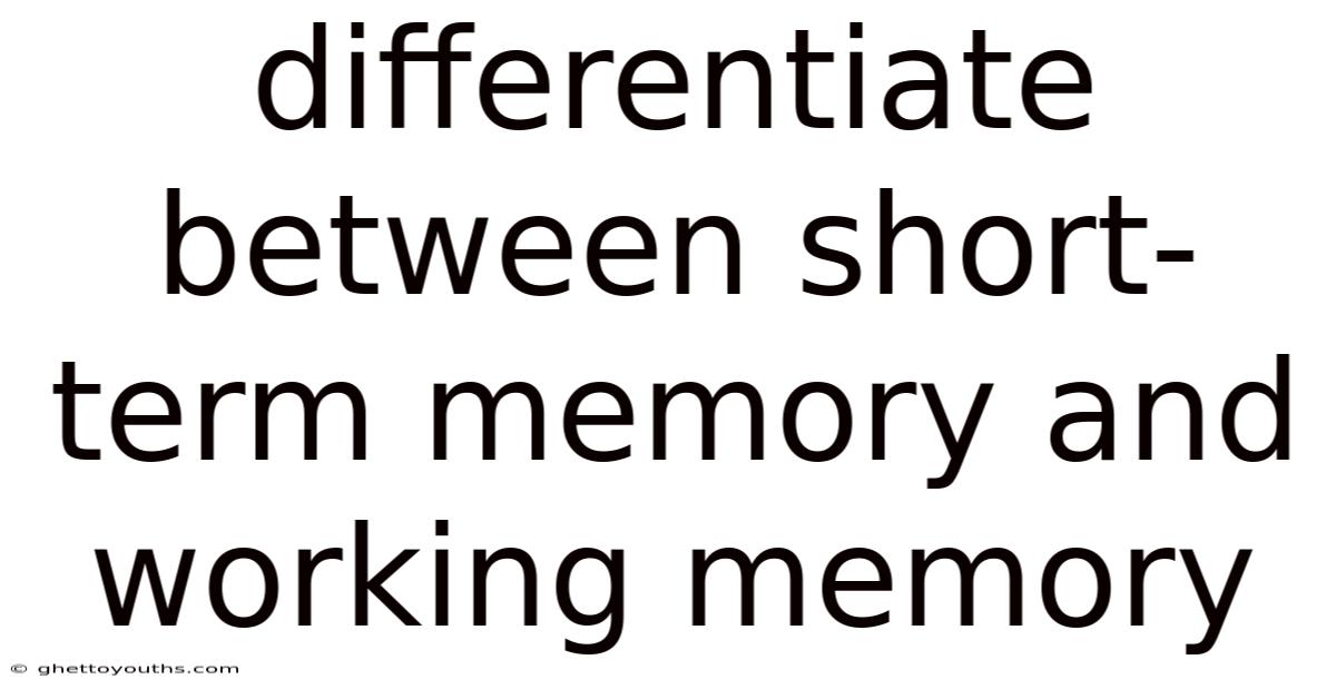 Differentiate Between Short-term Memory And Working Memory