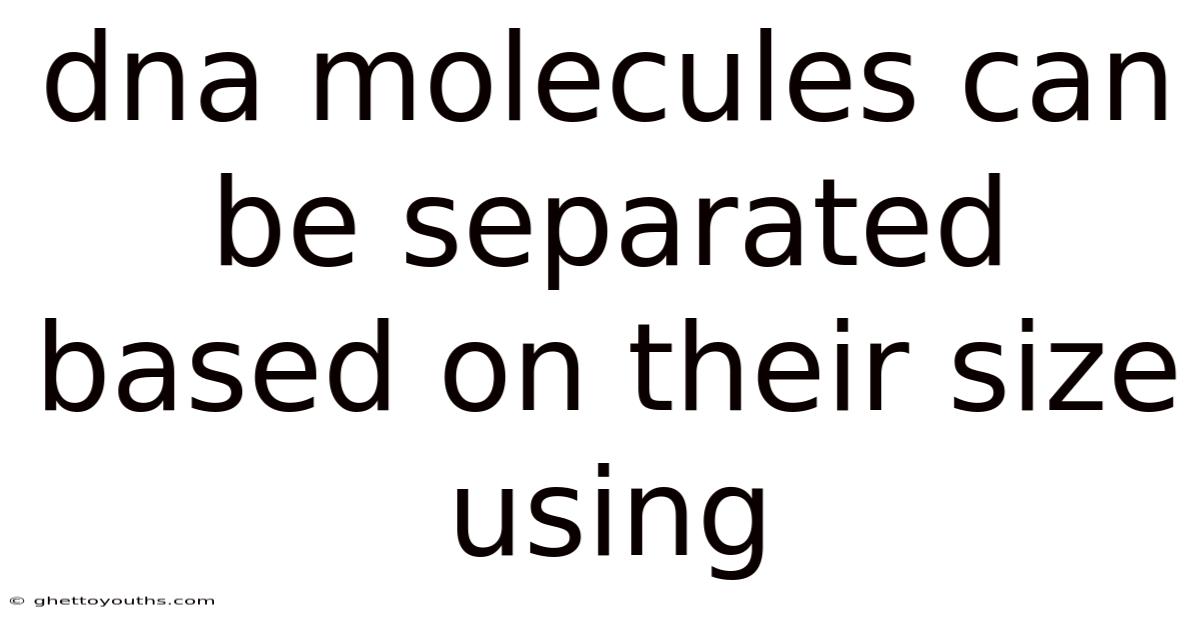 Dna Molecules Can Be Separated Based On Their Size Using