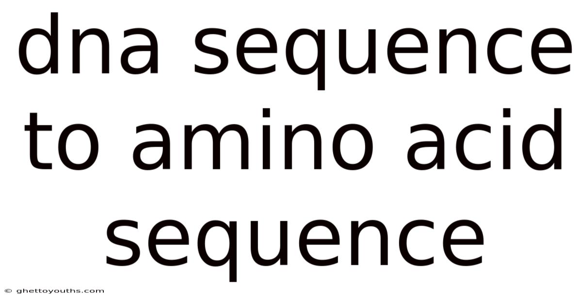 Dna Sequence To Amino Acid Sequence