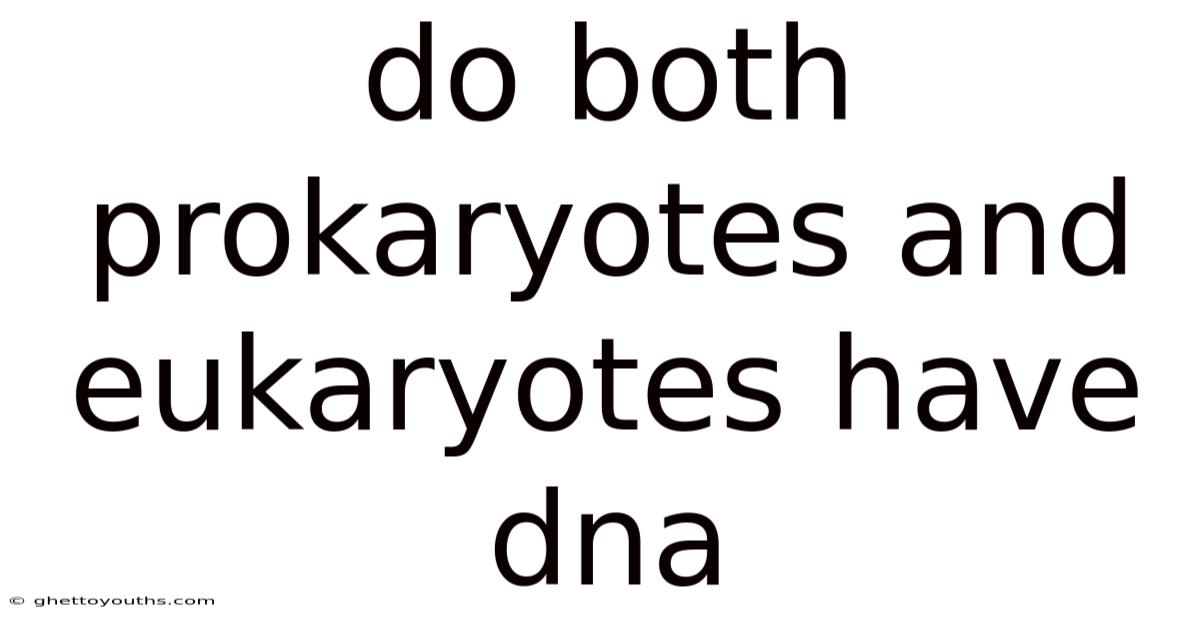 Do Both Prokaryotes And Eukaryotes Have Dna