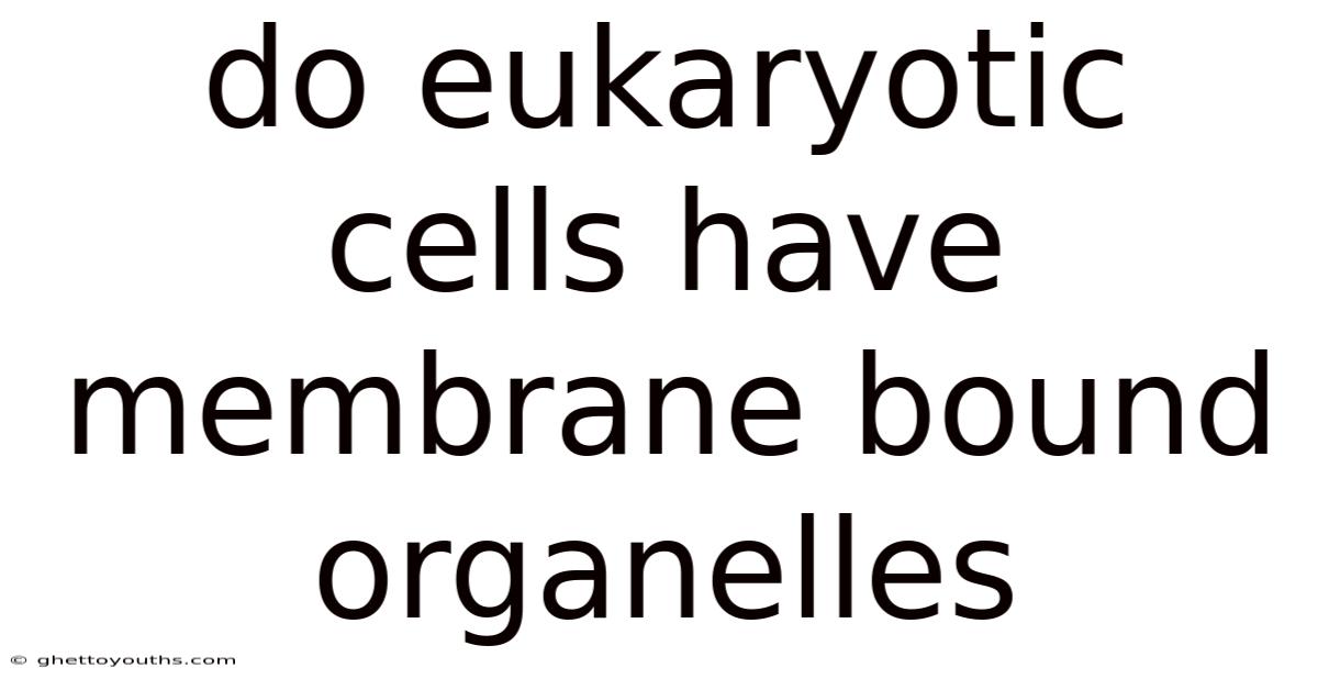 Do Eukaryotic Cells Have Membrane Bound Organelles