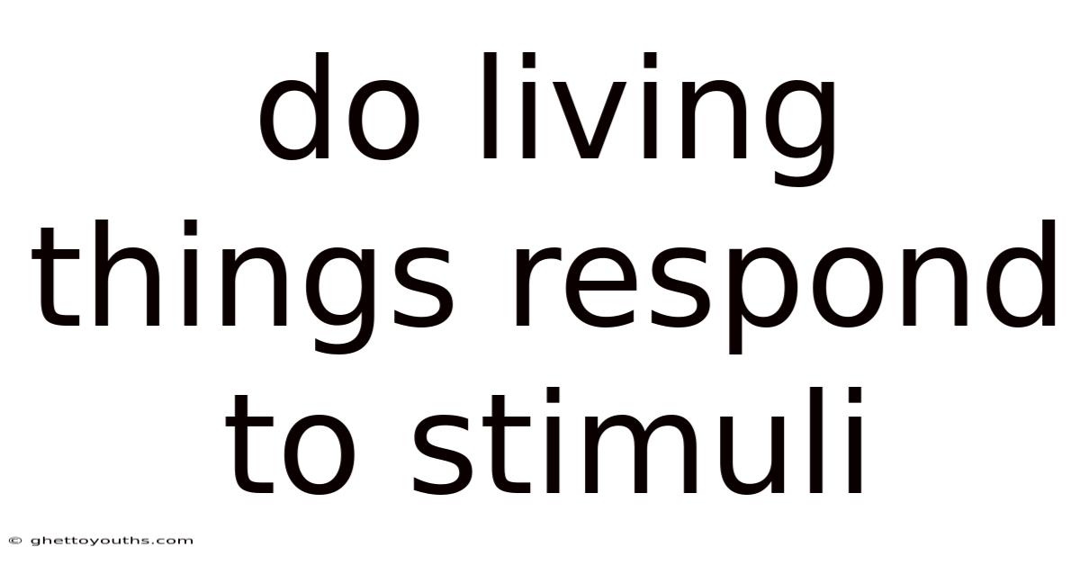 Do Living Things Respond To Stimuli