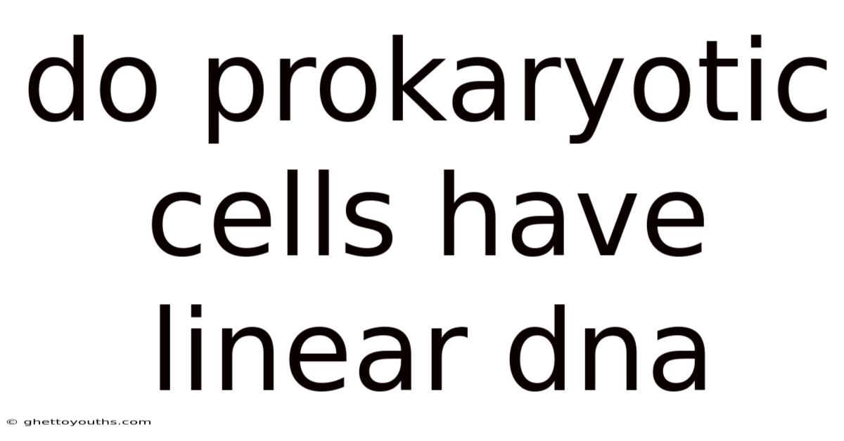 Do Prokaryotic Cells Have Linear Dna