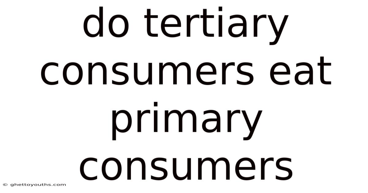 Do Tertiary Consumers Eat Primary Consumers