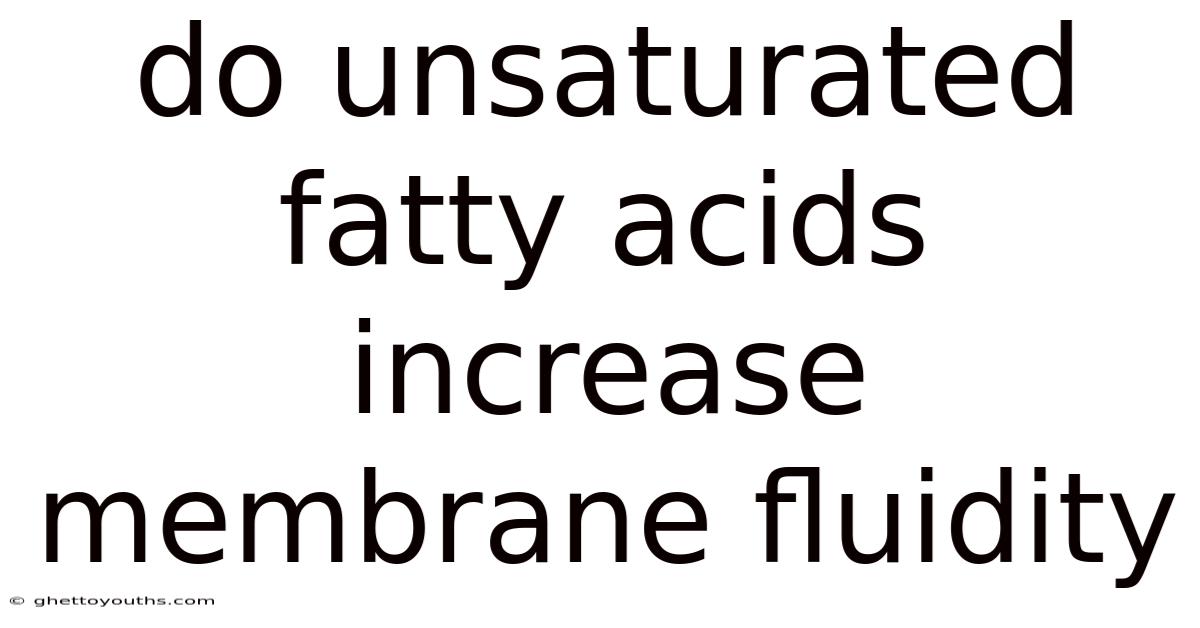 Do Unsaturated Fatty Acids Increase Membrane Fluidity