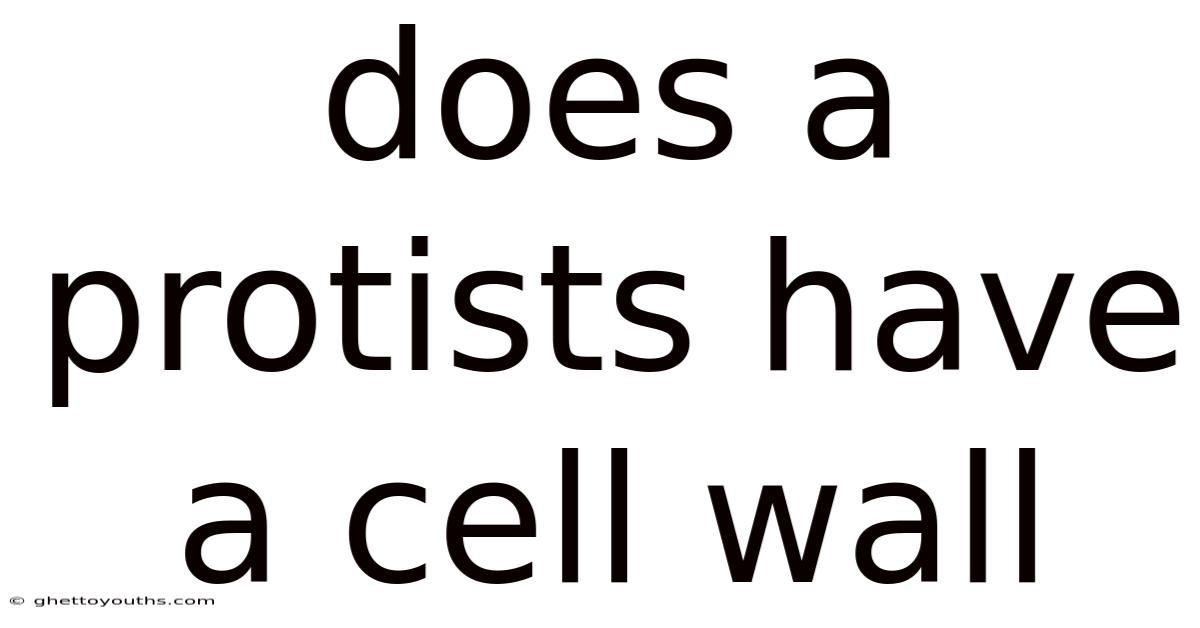 Does A Protists Have A Cell Wall