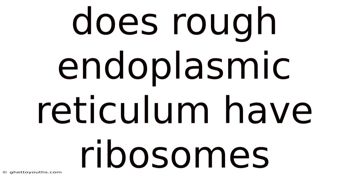 Does Rough Endoplasmic Reticulum Have Ribosomes