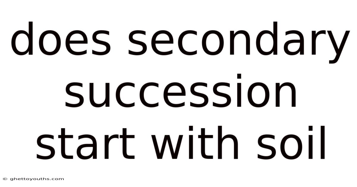 Does Secondary Succession Start With Soil