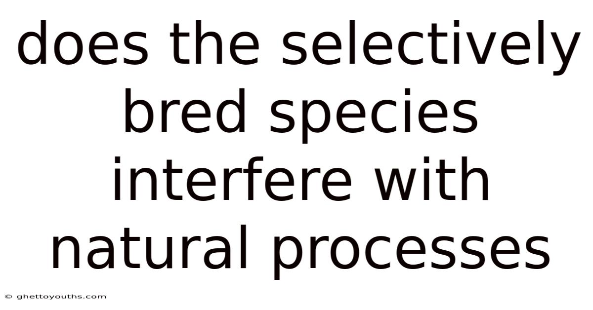Does The Selectively Bred Species Interfere With Natural Processes