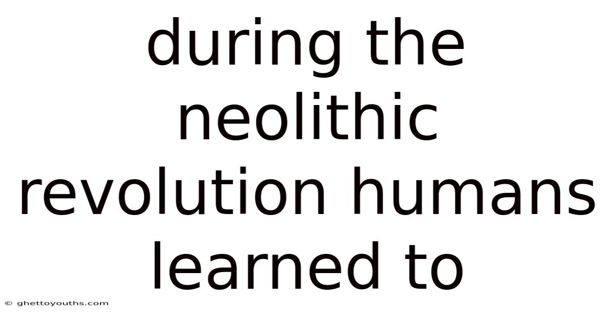 During The Neolithic Revolution Humans Learned To
