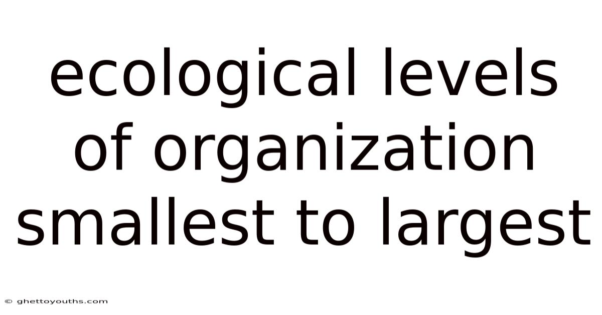 Ecological Levels Of Organization Smallest To Largest