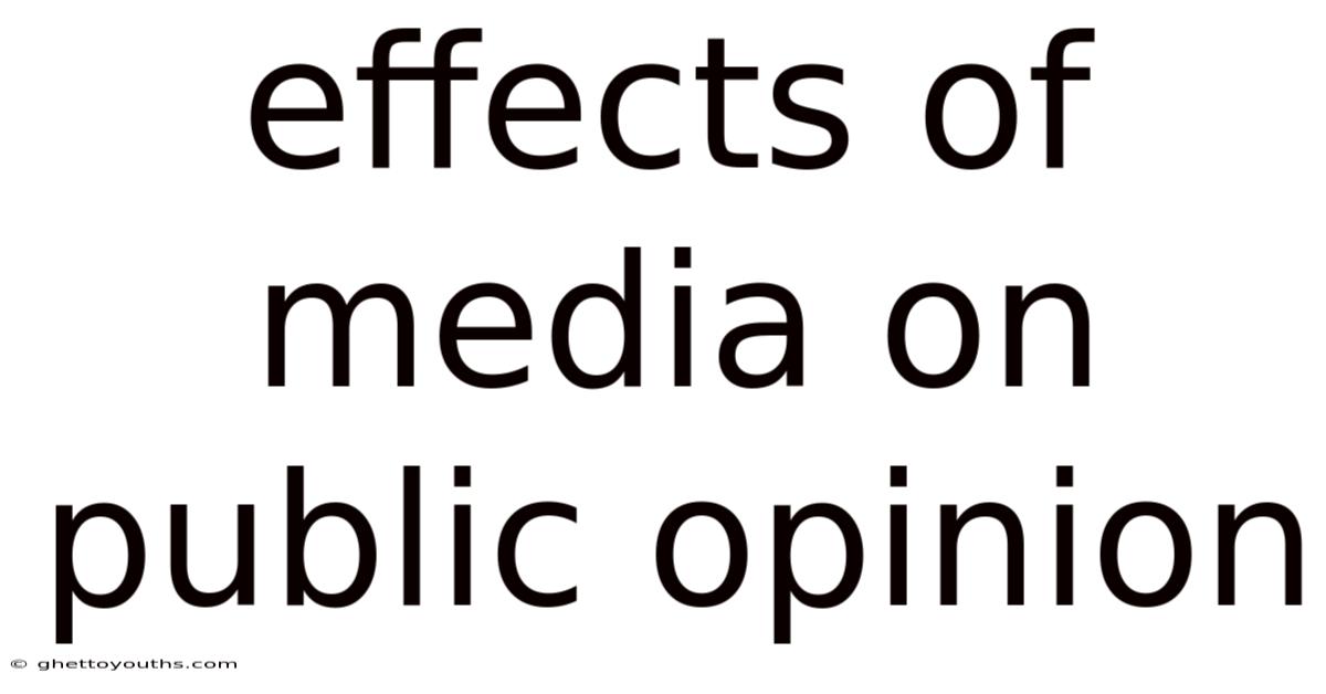 Effects Of Media On Public Opinion