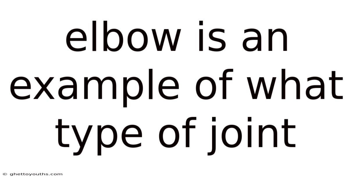 Elbow Is An Example Of What Type Of Joint
