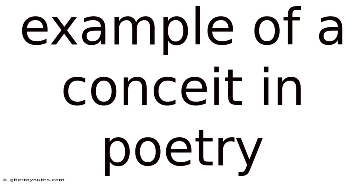 Example Of A Conceit In Poetry