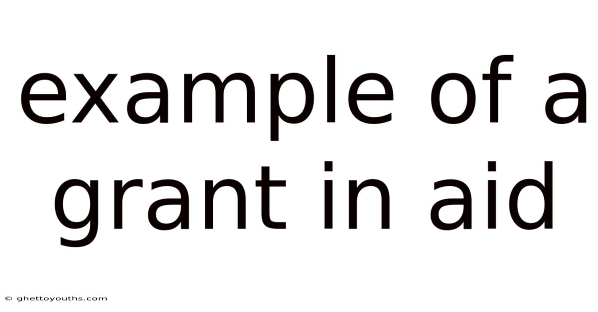 Example Of A Grant In Aid