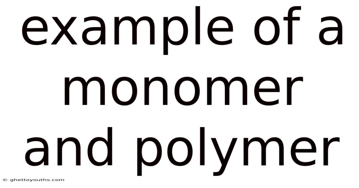 Example Of A Monomer And Polymer