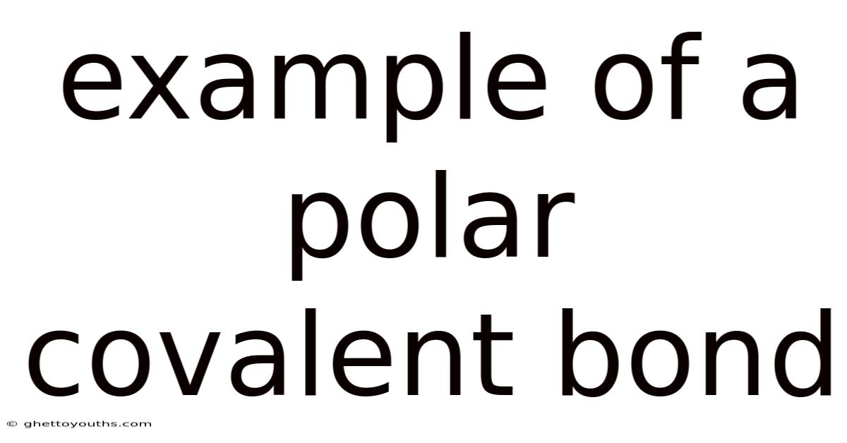 Example Of A Polar Covalent Bond