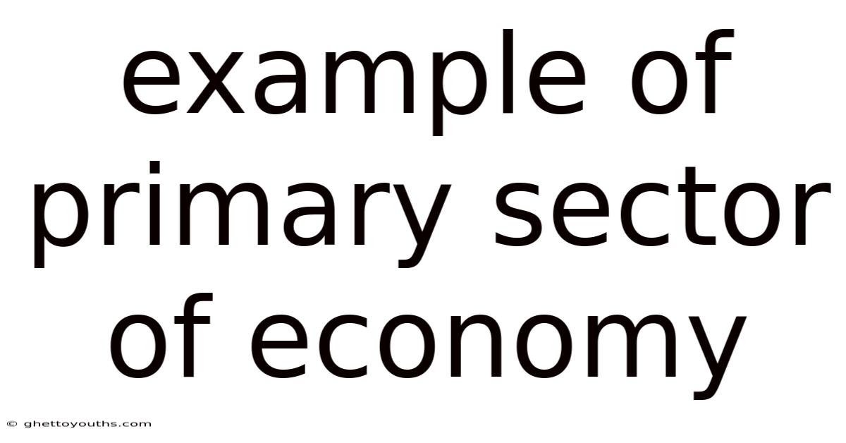 Example Of Primary Sector Of Economy