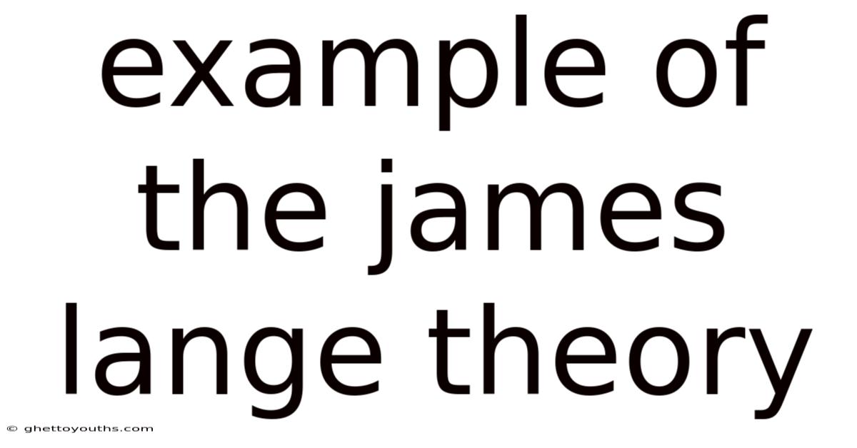 Example Of The James Lange Theory