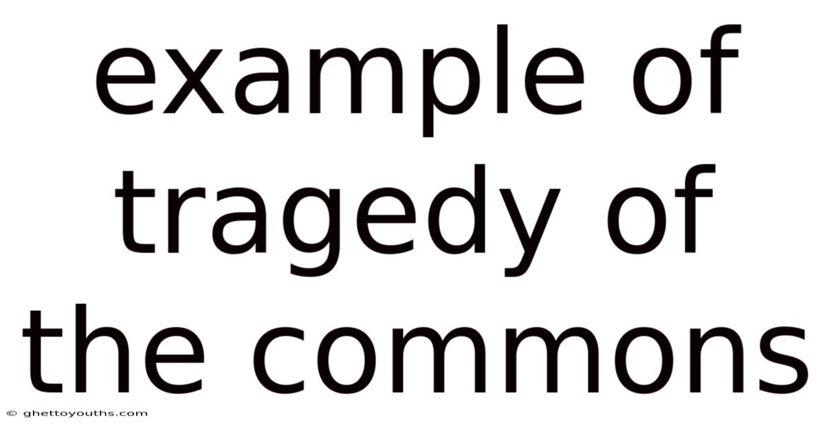 Example Of Tragedy Of The Commons
