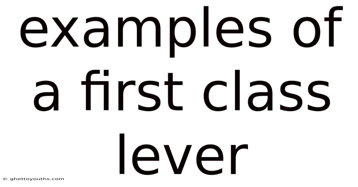 Examples Of A First Class Lever