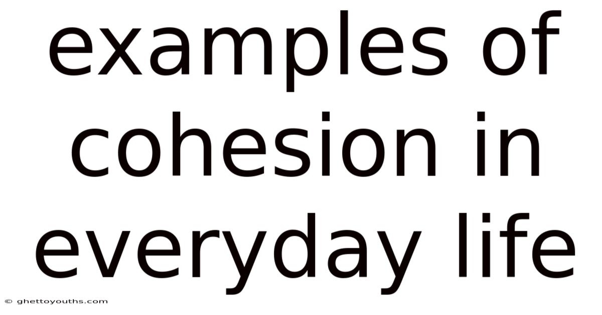 Examples Of Cohesion In Everyday Life