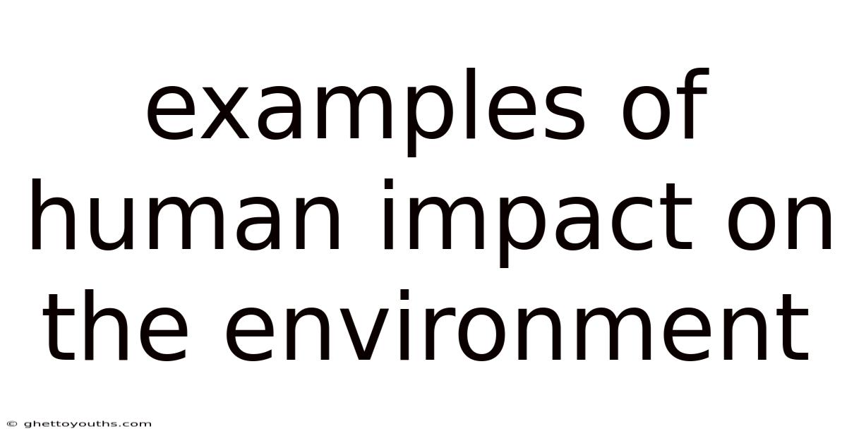 Examples Of Human Impact On The Environment