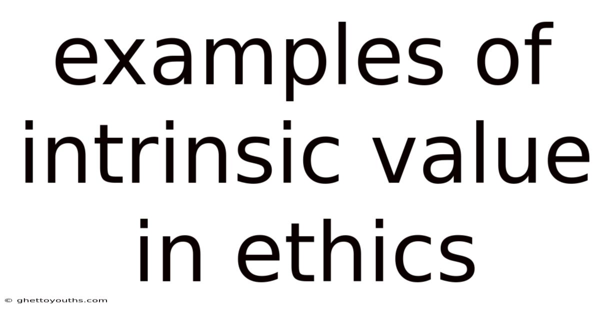 Examples Of Intrinsic Value In Ethics
